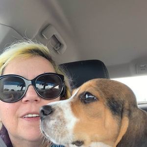 Meet your Posher, Lori